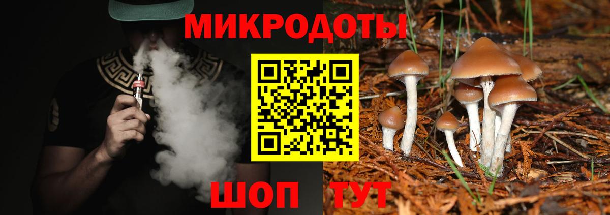 Псилоцибиновые грибы Psilocybe Пенза